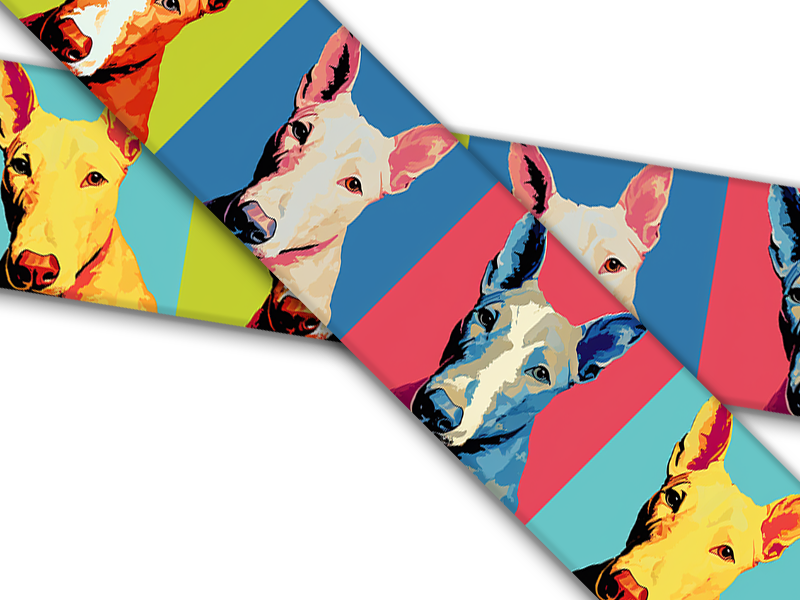 Biothane® mit UV Druck (US Import) Bull-Terrier Warhol