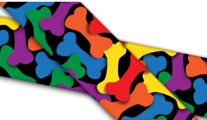 Biothane® with UV print (US import) Rainbow-Bones