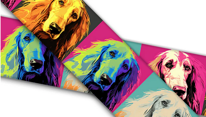 Biothane® mit UV Druck (US Import) Afgan-Hound Warhol
