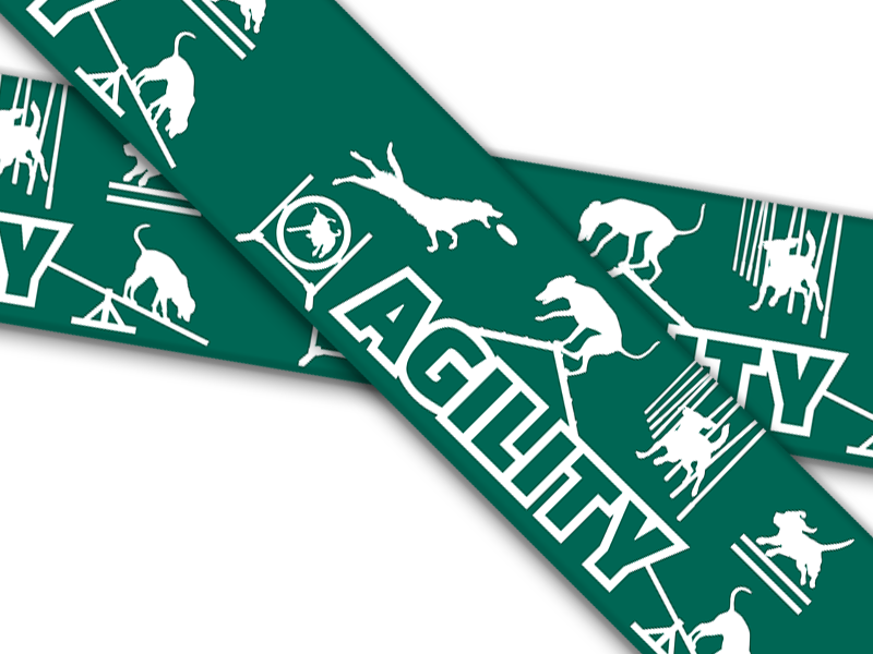 Biothane® mit UV Druck (US Import) Agility-Teal