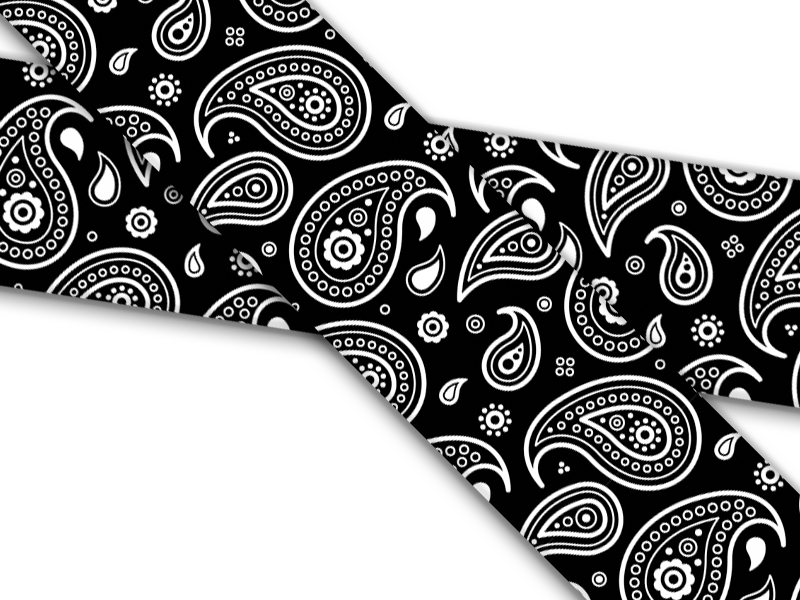 Biothane® mit UV Druck (US Import) Black-Paisley