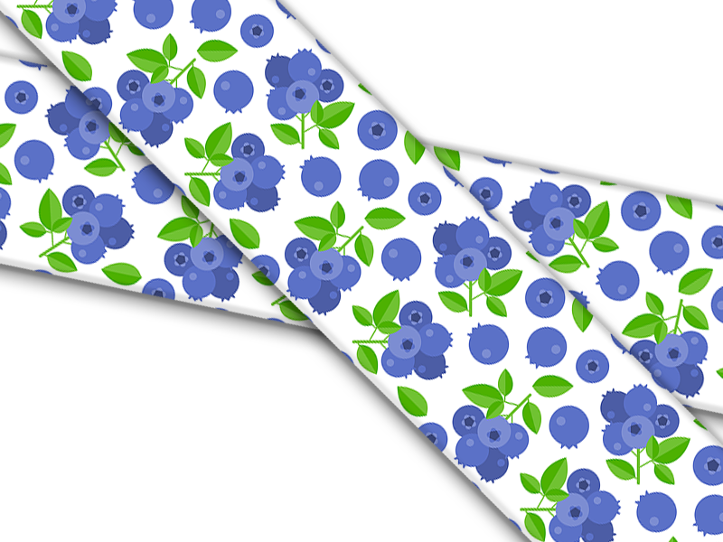 Biothane® mit UV Druck (US Import) Blueberries