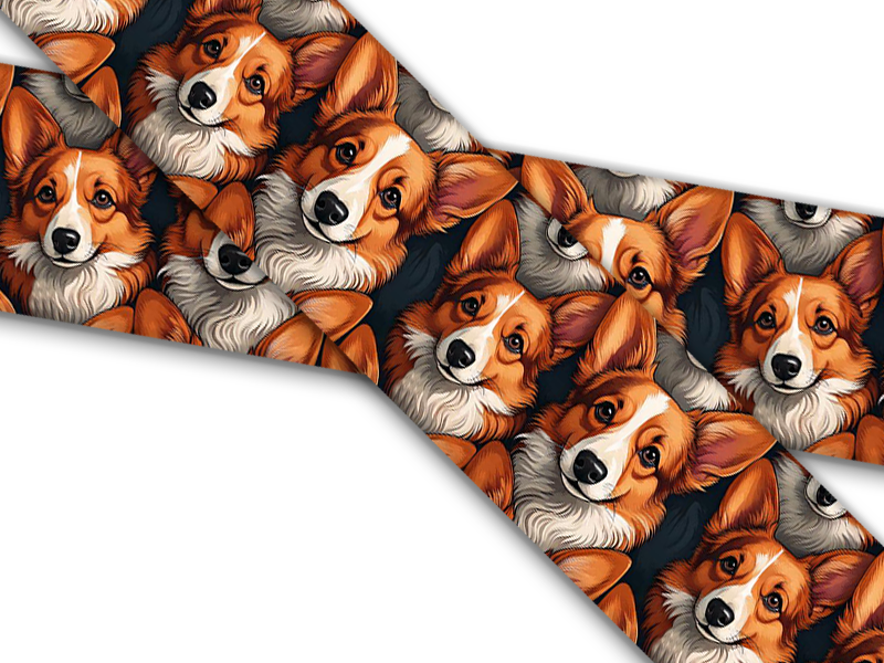 Biothane® mit UV Druck (US Import) Corgis
