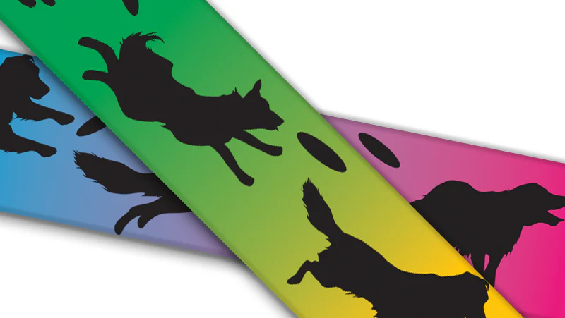 Biothane® mit UV Druck (US Import) Disc-Dogs-Rainbow