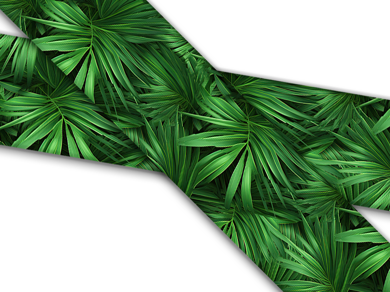 Biothane® with UV print (US import) Ferns