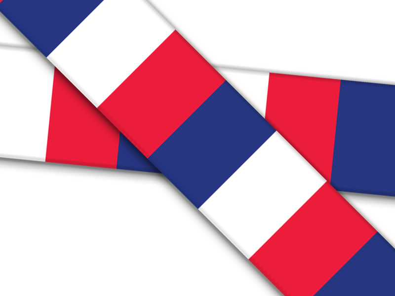 Biothane® mit UV Druck (US Import) France-Flag