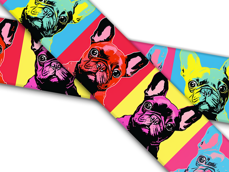 Biothane® mit UV Druck (US Import) Frenchie Warhol