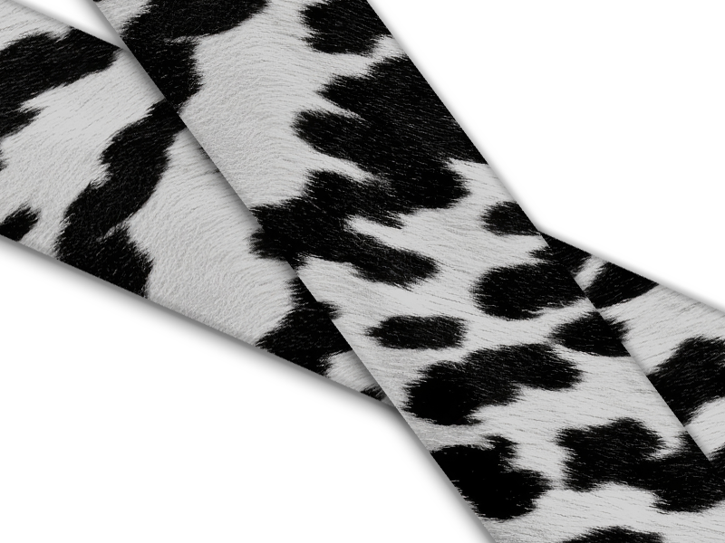 Biothane® with UV print (US import) Holstein