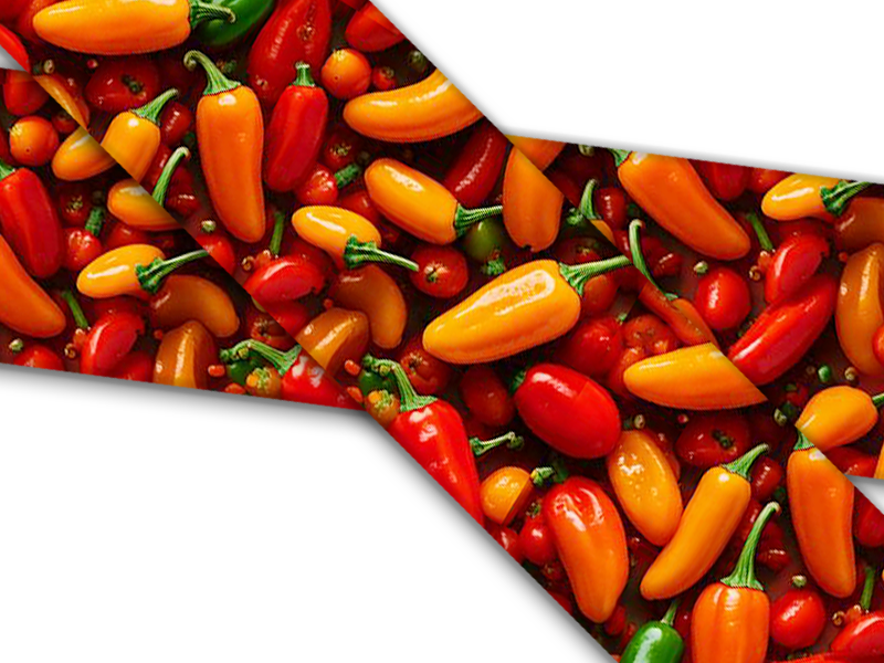 Biothane® avec impression UV (importation américaine) Piments forts