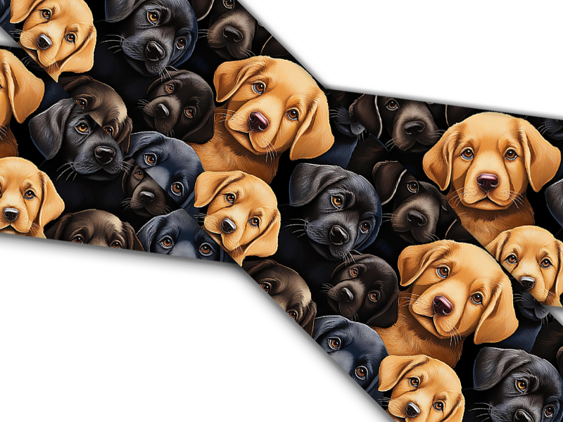 Biothane® with UV print (US import) Labrador-Pups