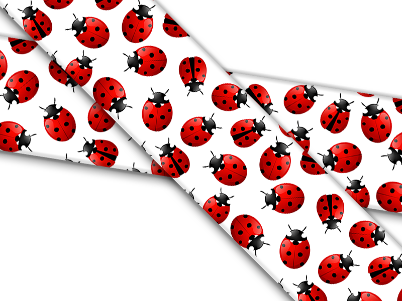 Biothane® mit UV Druck (US Import) Ladybugs
