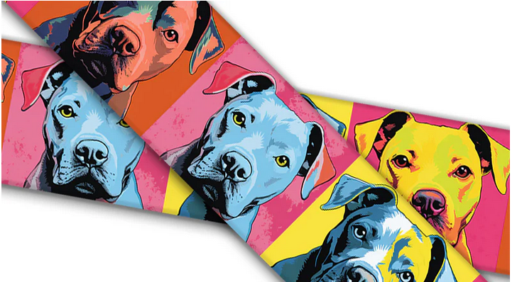 Biothane® mit UV Druck (US Import) Pitbull Warhol