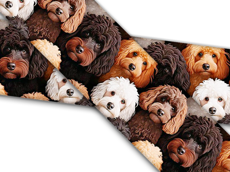 Biothane® with UV print (US import) Poodles
