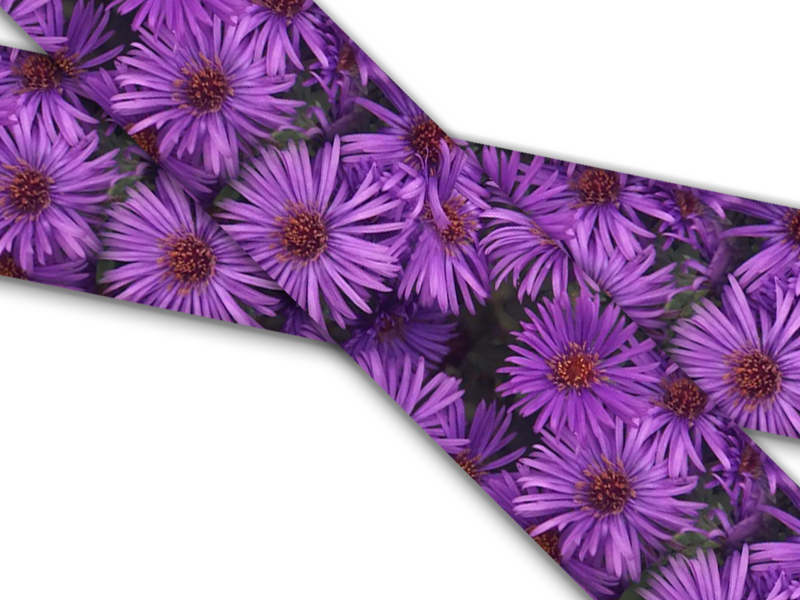 Biothane® mit UV Druck (US Import)Purple-Asters