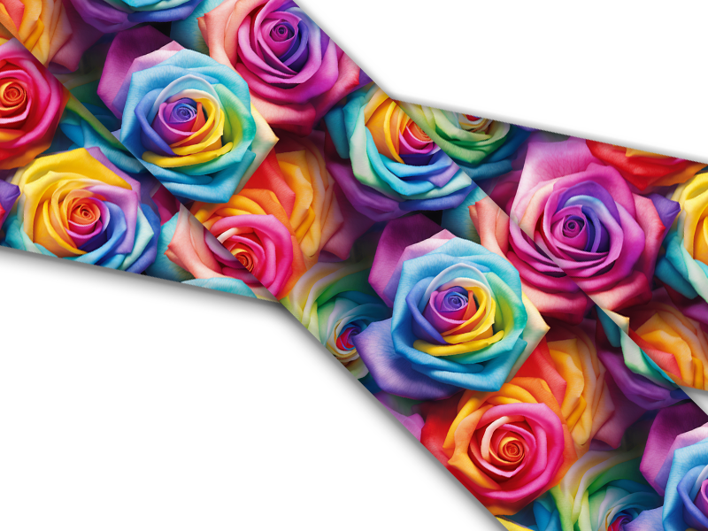 Biothane® avec impression UV (importation américaine) Rainbow Roses
