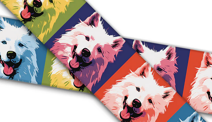 Biothane® mit UV Druck (US Import) Samoyed Warhol