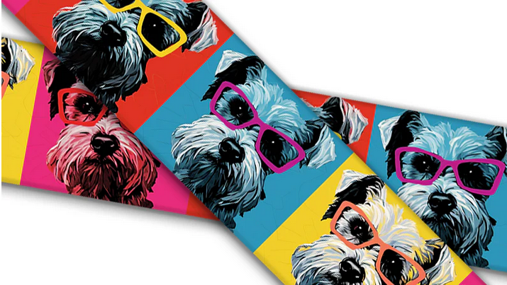Biothane® mit UV Druck (US Import) Schnauzer Warhol
