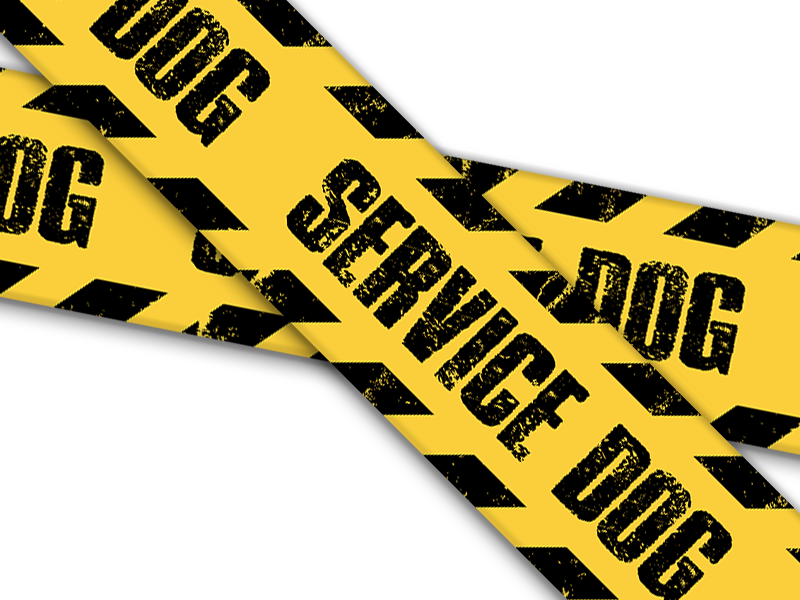 Biothane® mit UV Druck (US Import) Service-Dog