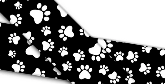 Biothane® mit UV Druck (US Import) BW Paws - Black