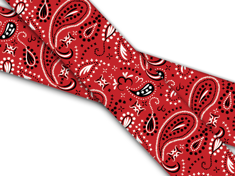 Biothane® with UV print (US import) Bandana-Red