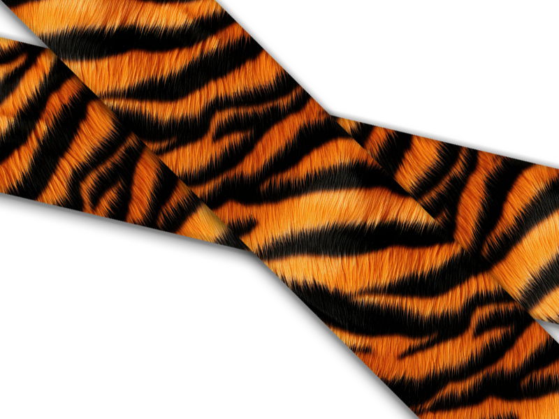 Biothane® con impresión UV (importado de EE. UU.) Tigre de Bengala