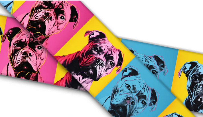 Biothane® mit UV Druck (US Import) Boxer Warhol