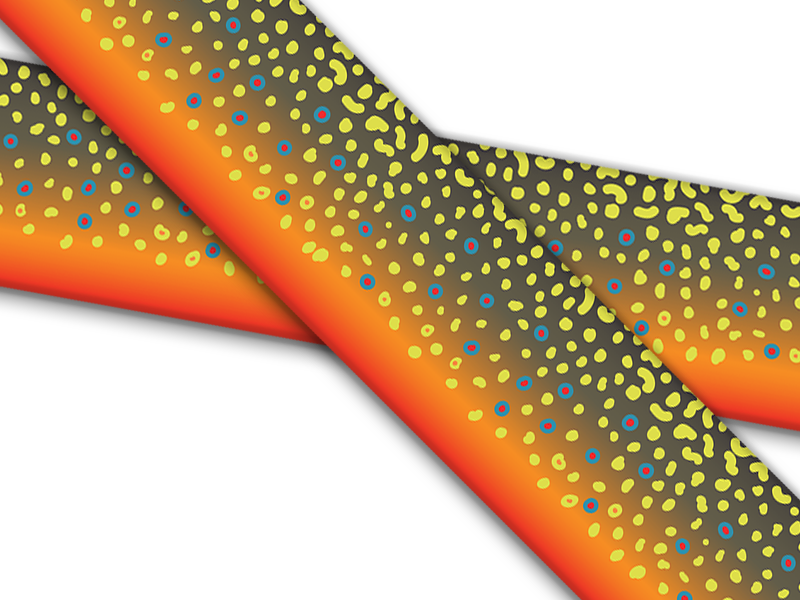 Biothane® mit UV Druck (US Import) Brook-Trout