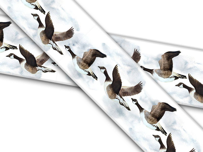 Biothane® mit UV Druck (US Import) Canadian-Geese