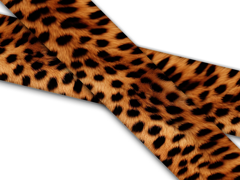 Biothane® with UV print (US import) Cheetah