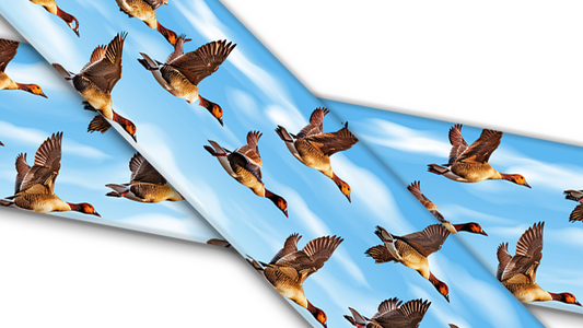 Biothane® avec impression UV (importation américaine) Canards en vol