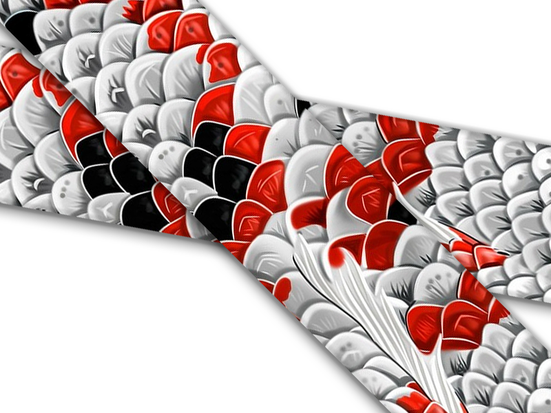 Biothane® mit UV Druck (US Import) Koi-Fish
