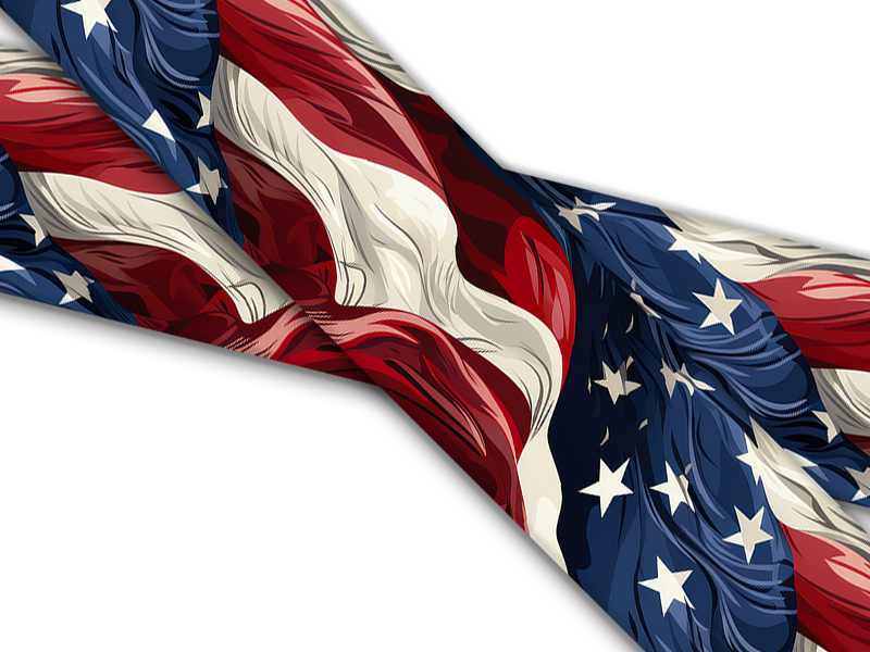 Biothane® mit UV Druck (US Import) Old Glory
