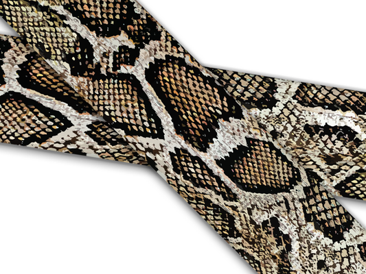 Biothane® avec impression UV (importation américaine) Rattler