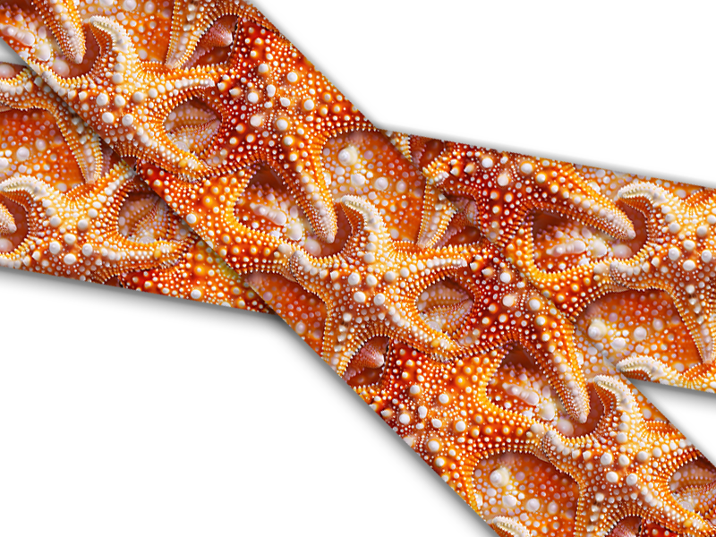Biothane® with UV print (US import) Starfish